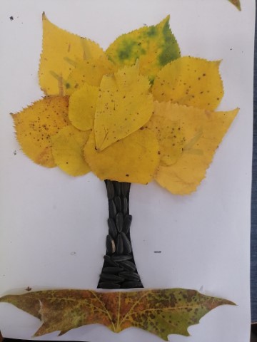 По-добра околна среда за учениците в СУ „Петко Рачов Славейков“